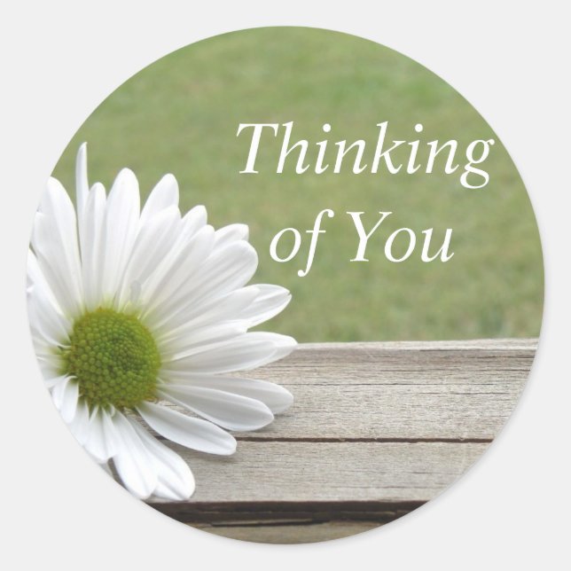 Daisy Theme Runder Aufkleber (Vorderseite)