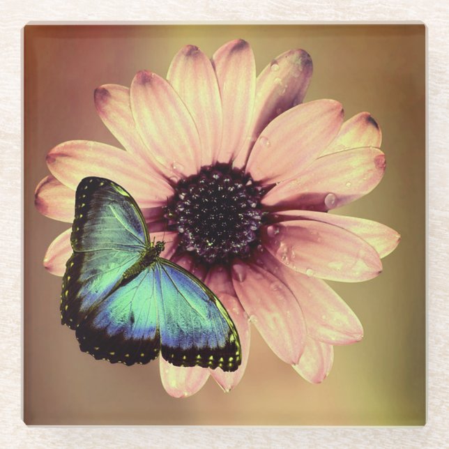 Daisy und Butterfly Glasuntersetzer (Vorderseite)