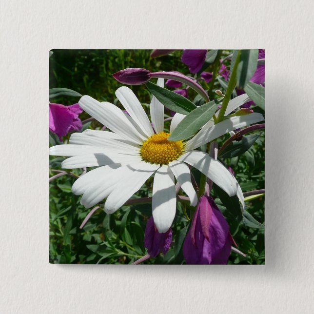 Daisy und Fireweed-Wildblume Button (Vorderseite)