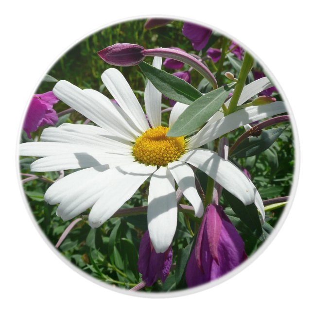 Daisy und Fireweed-Wildblume Keramikknauf (Vorderseite)