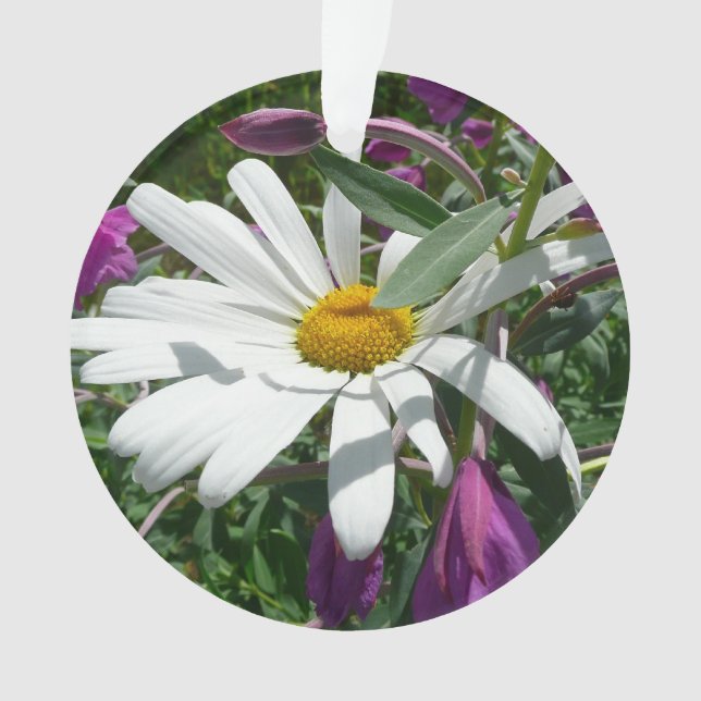 Daisy und Fireweed-Wildblume Ornament (Vorderseite)
