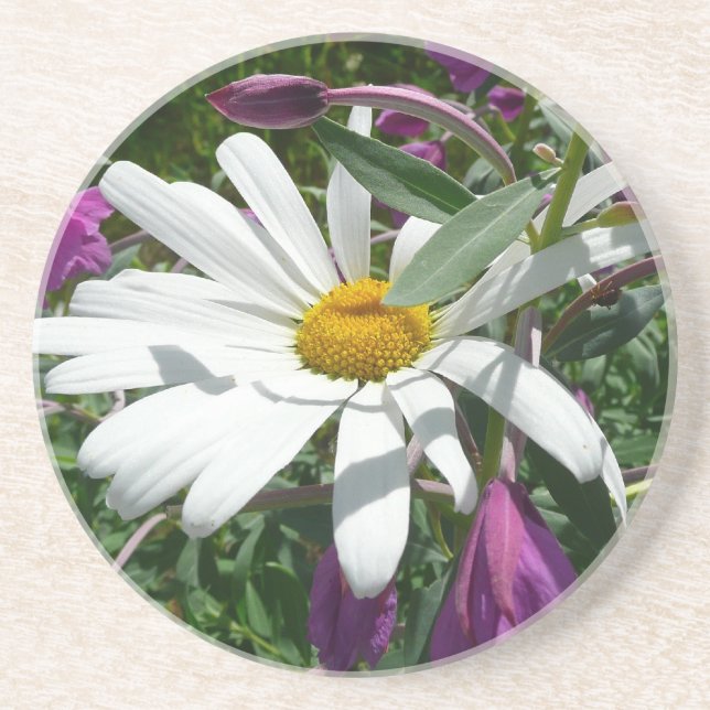 Daisy und Fireweed-Wildblume Sandstein Untersetzer (Vorne)