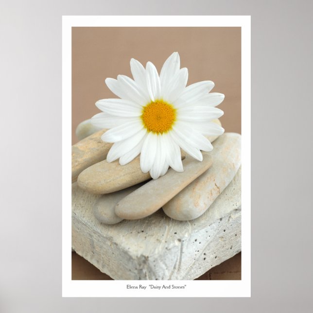 Daisy und Stones Poster (Vorne)