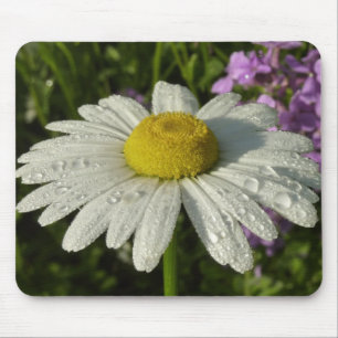 Daisy und Summer Lilac Wildblume Mousepad