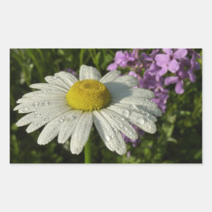 Daisy und Summer Lilac Wildblume Rechteckiger Aufkleber