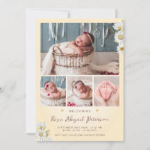 Daisy Wildblume Begrüßung der Neugeborenengeburt