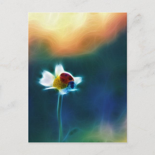 Daisybug Postkarte (Vorderseite)