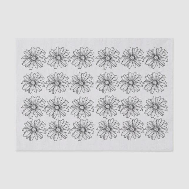 Daisys in grau seidenpapier (Vorderseite)