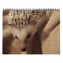 Dakota, Ding u. Freunde!