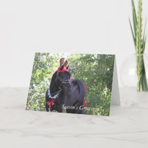 Dales Pony Christmas Card Feiertagskarte