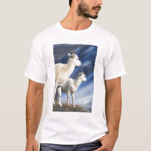 Dall Schafe, Ovis dalli, Schafe und Lamm T-Shirt