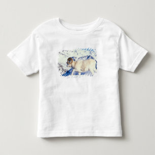 Dall-Schafe, Ovis dalli, Widder mit vollem Gehörn Kleinkind T-shirt