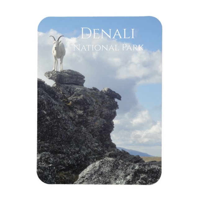 Dall Sheep Atop Mount Wright, Denali NP, Alaska Magnet (Vertikal)