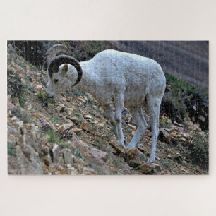 Dall Sheep auf der Hillside Puzzle