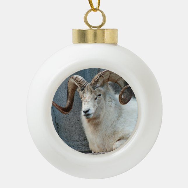 Dall Sheep Ornament (Vorderseite)