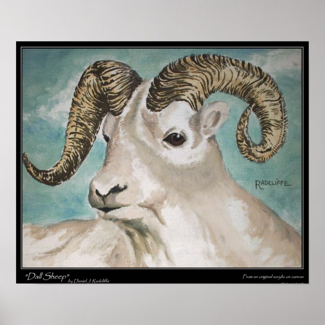 Dall Sheep Print, Value Poster Paper (Matte) (Vorne)