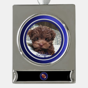 Dallas Hund Fan Anpassbar Banner-Ornament Silber