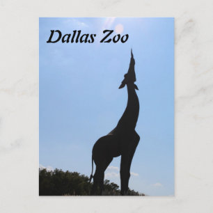 Dallas-Zoo Postkarte