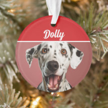 Dalmatian Dog Name Photo Holiday Christmas