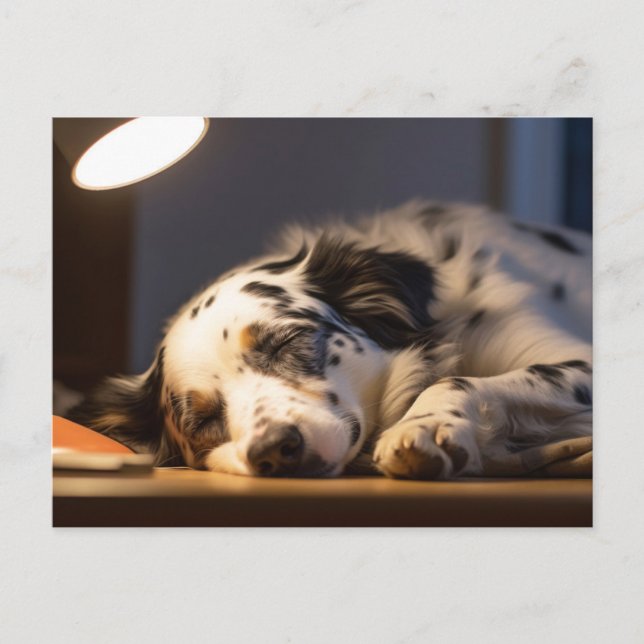 DALMATIAN DOG SLEEPING POSTCROSSING POSTKARTE (Vorderseite)