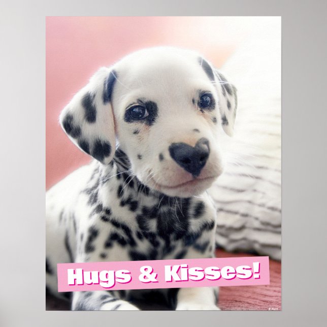 Dalmatian Heart Nose Poster (Vorne)