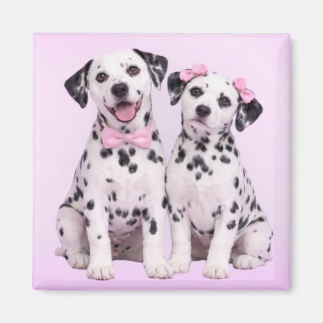 Dalmatian Puppy Love – Valentine Dog Couple Magnet (Vorne)