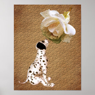 Dalmatian Puppy Rose Aged Paper Art Poster