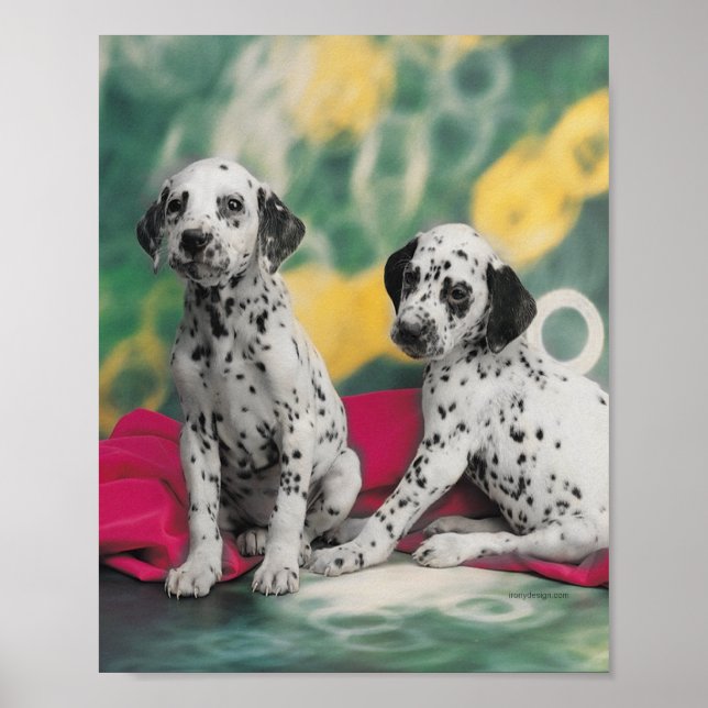 Dalmatian-Welpen Poster (Vorne)