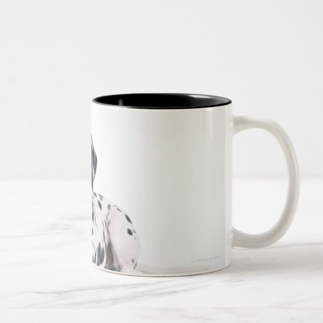 Dalmatiner 4 zweifarbige tasse (Rechts)
