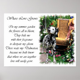 Dalmatiner Art Print Poster