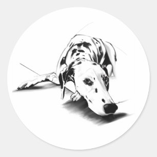 Dalmatiner Aufkleber - Hunde Kunst