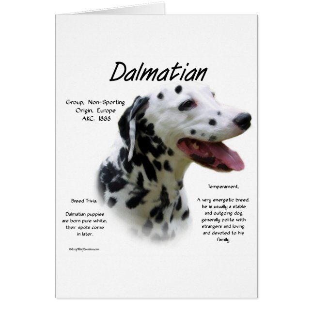 Dalmatiner (blk) Historie Design (Vorne)