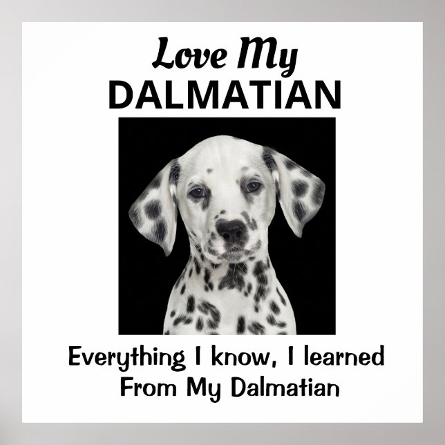 Dalmatiner Custom Poster (Vorne)