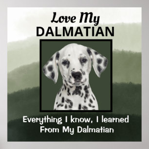 Dalmatiner Custom Poster