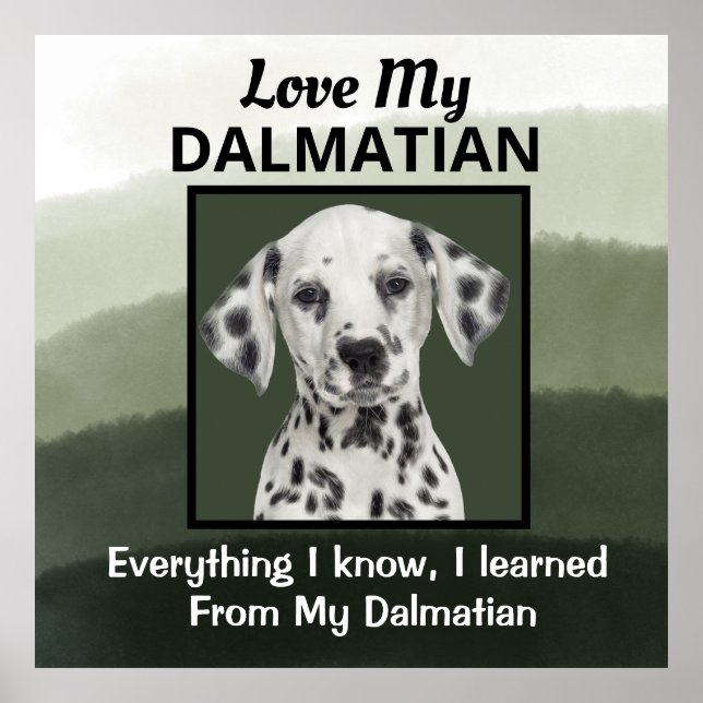 Dalmatiner Custom Poster (Vorne)