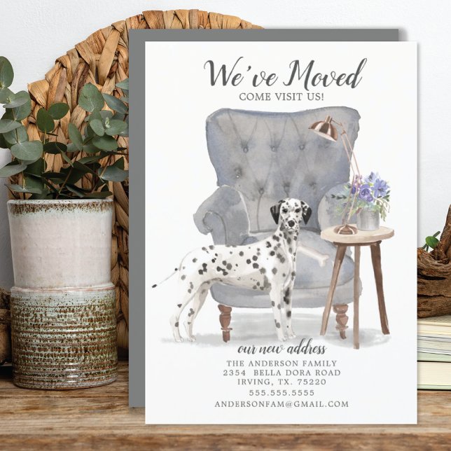 Dalmatiner Dog | Ankündigung der Beförderung (Von Creator hochgeladen)