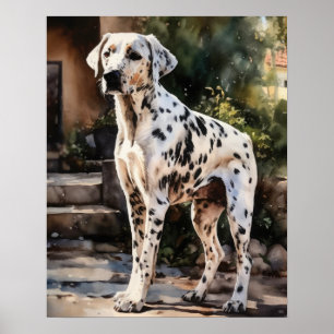 Dalmatiner Dog Art Print Poster