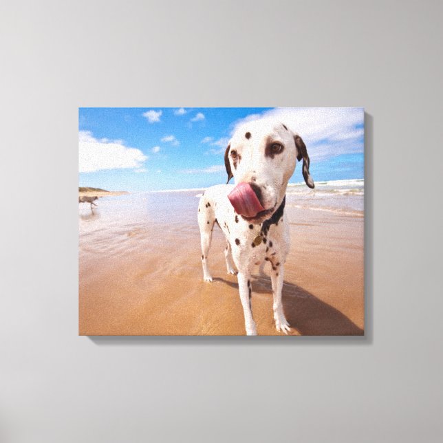 Dalmatiner Dog on Beach Leinwanddruck (Vorderseite)