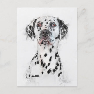 Dalmatiner Dog Portrait Postkarte