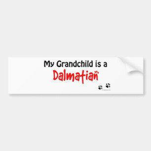 Dalmatiner-Enkelkind Autoaufkleber