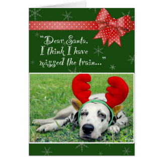 Dalmatiner-Fräulein The Train Green