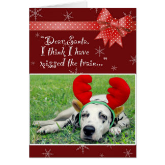 Dalmatiner-Fräulein The Train Red