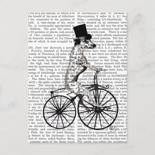 Dalmatiner für Fahrrad 2 Postkarte (Vorderseite)