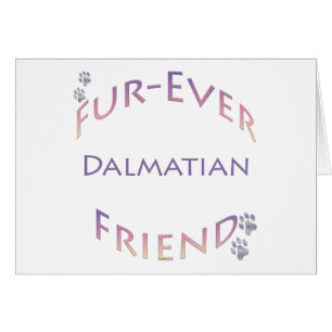Dalmatiner Furever