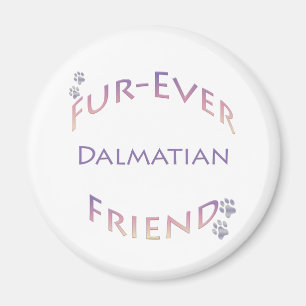 Dalmatiner Furever Magnet