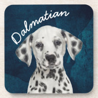 Dalmatiner