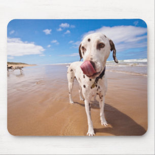 Dalmatiner-Hund auf Strand Mousepad