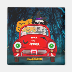 Dalmatiner Hund Autofahren Auto Beängstigend Hallo Magnet