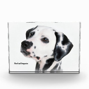 Dalmatiner Hund. Fotoblock