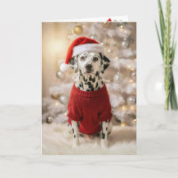 Dalmatiner-Hund mit rotem Weihnachtsschweter